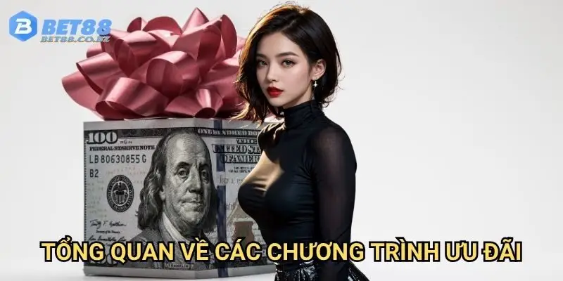 Tổng quan về các chương trình ưu đãi